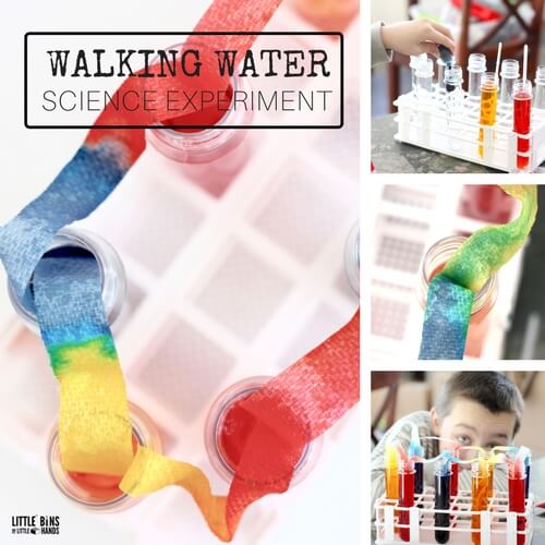 Quick Water Science Activities For Kindergarten And Preschool Science