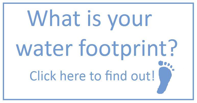 Water Pollution Lesson Plans