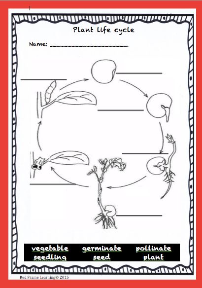 Red Frame Learning (redframelearn) On Free Worksheets Samples