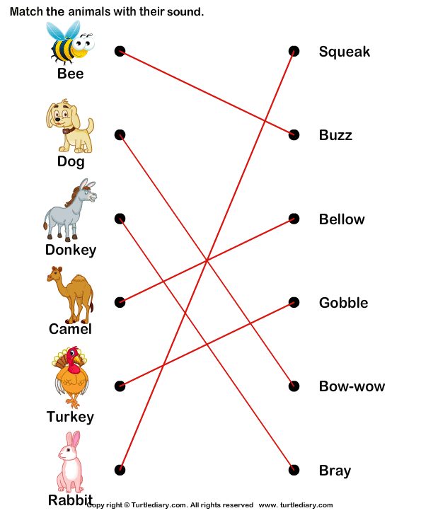 Match Farm Animals With Their Sounds Answer