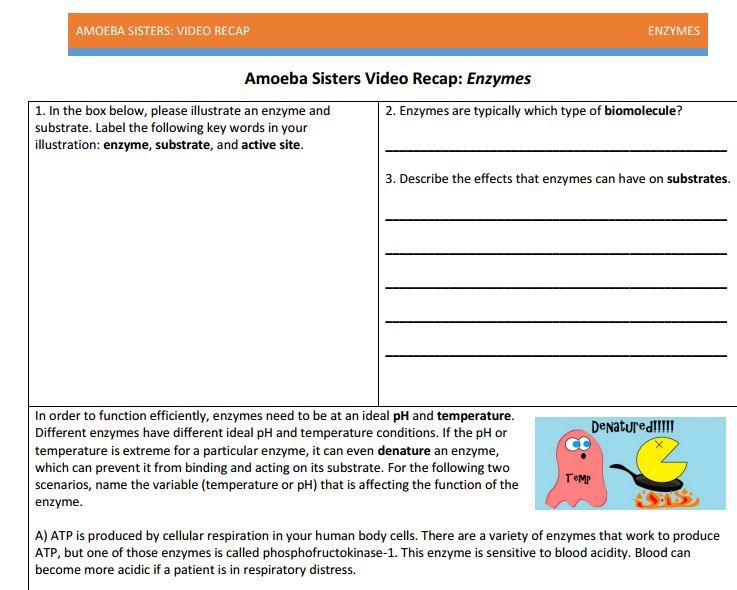 Enzyme Handout Made By Amoeba Sisters  Click To Visit The Website