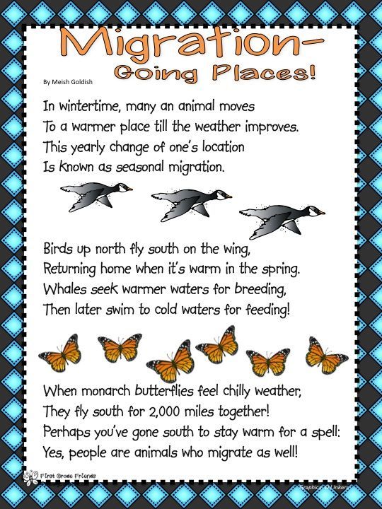 Image Result For Bird Migration Worksheets