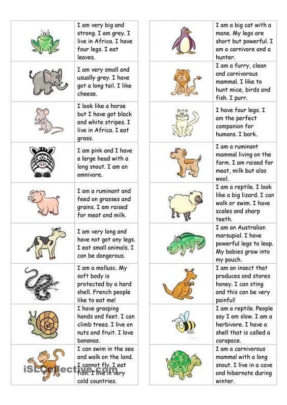 Describing Animals