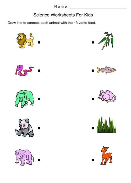 Science Worksheets For Toddlers