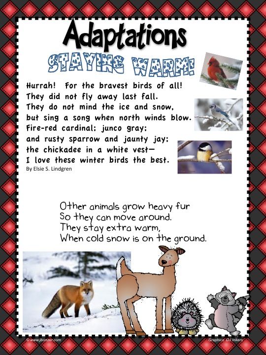 Mrs  Bonzer's Miscellaneous Printables