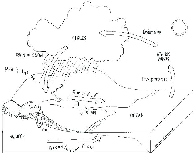 Carbon Cycle Worksheets Carbon Cycle Coloring Page Water Sheet