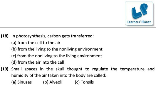 Science Revision Worksheets On Respiration In Organisms For Class