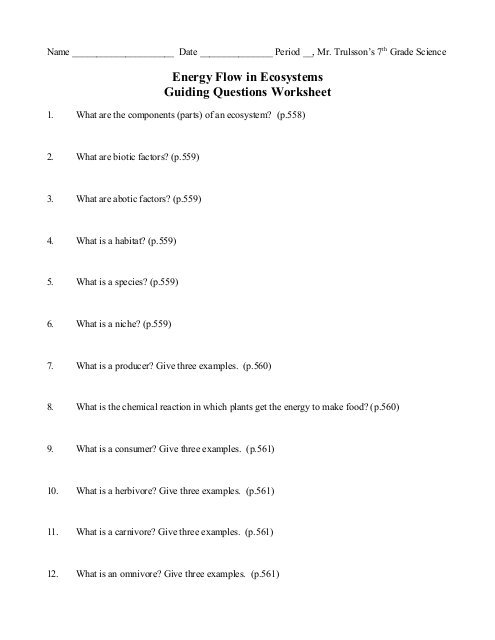 Energy Flow In Ecosystems Guiding Questions Worksheet