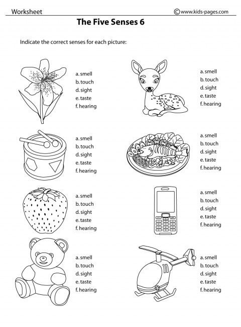 The Five Senses 6 B&w Worksheet