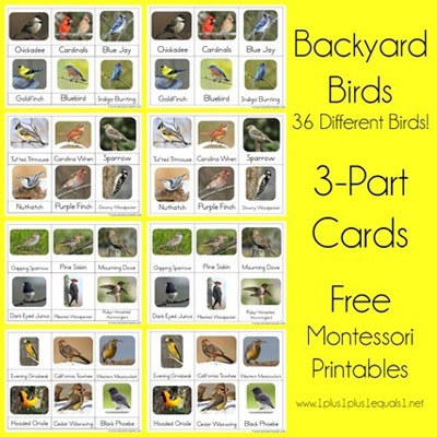 Free Montessori Materials Online