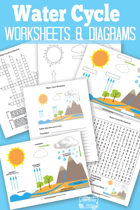 Free Printable Water Cycle Worksheets + Diagrams