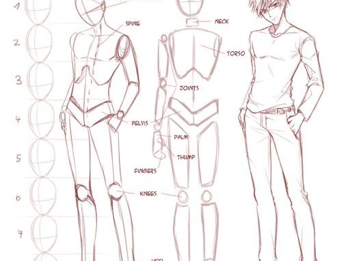 Manga Proportion Drawings  6 Worksheets  By Gdoolan84