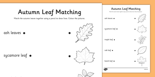 Autumn Leaves Matching Worksheet
