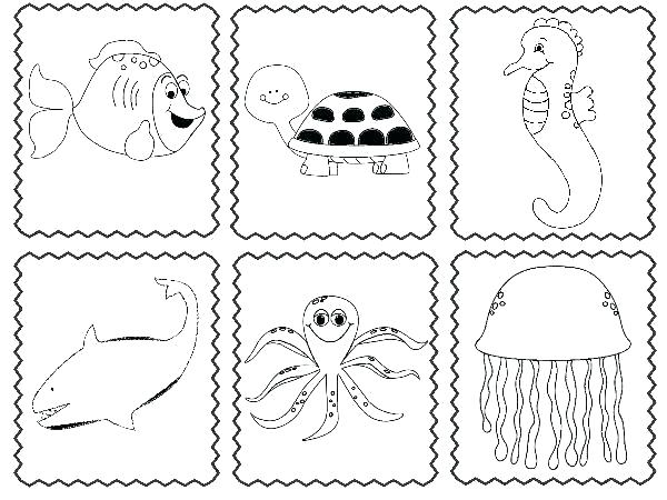 Sea Animals Worksheets For Preschoolers Sea Animals Worksheets For