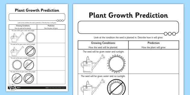 Plant Growth Prediction Worksheet