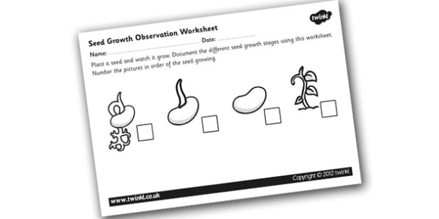 Seed Growth Worksheet
