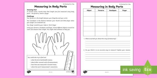 Measuring In Body Parts Worksheet   Worksheet