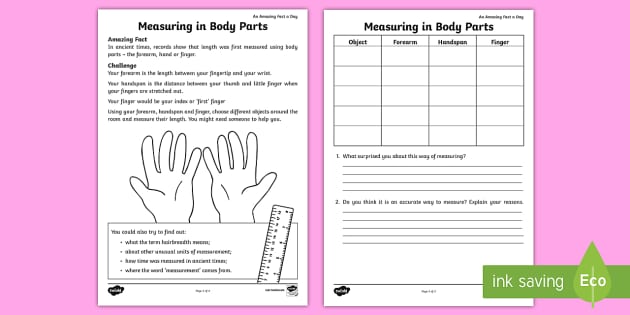 Measuring In Body Parts Worksheet   Worksheet