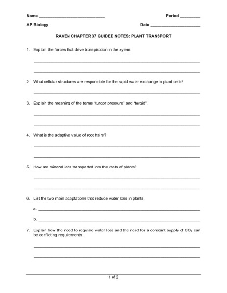 Transport In Plants Worksheet Answers The Best Worksheets Image