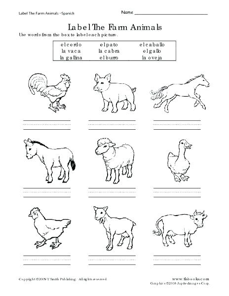 You Domestic Animals Vocabulary For Kids Learning Printable