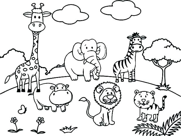 Zoo Worksheets For Preschoolers
