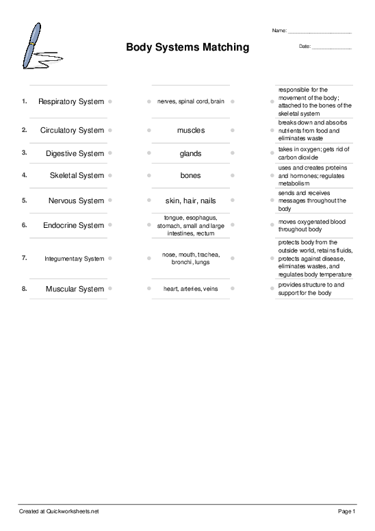Human Body Systems Matching Worksheets