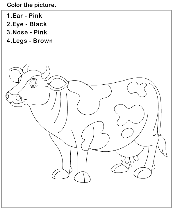 Science Worksheets