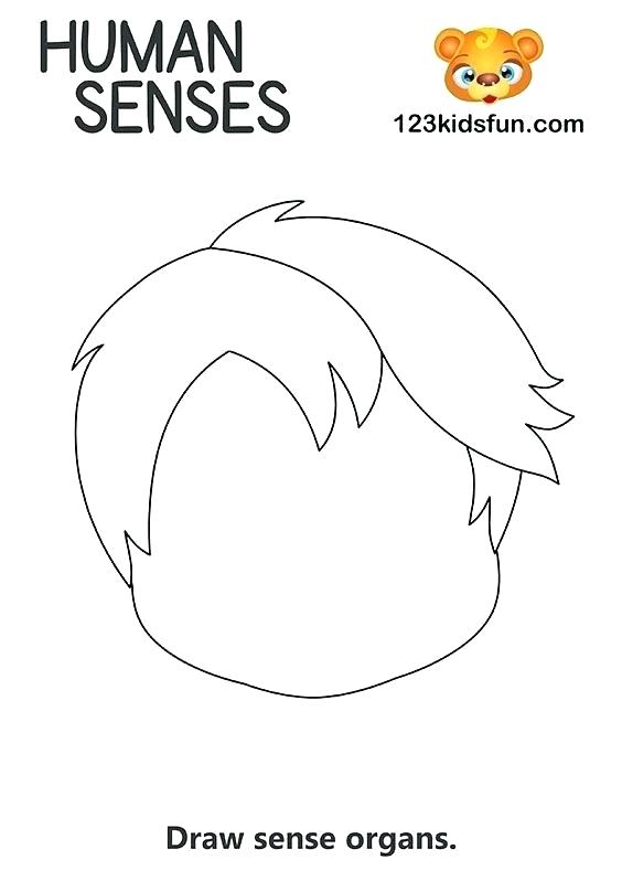5 Senses Kids Fun Apps For Homeschooling Sense Of Touch Worksheet