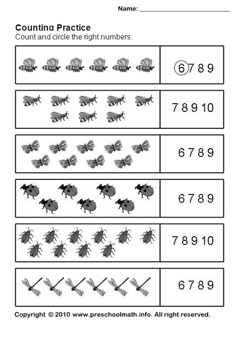Count And Circle The Correct Number Worksheets
