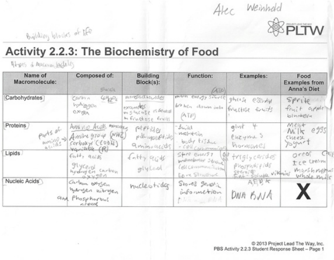 4 Types Of Macromolecules Chart