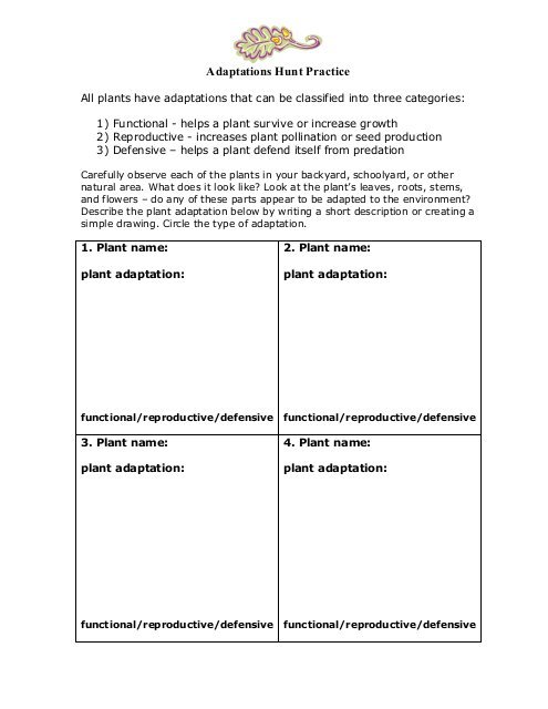Adaptations Hunt Practice Worksheet