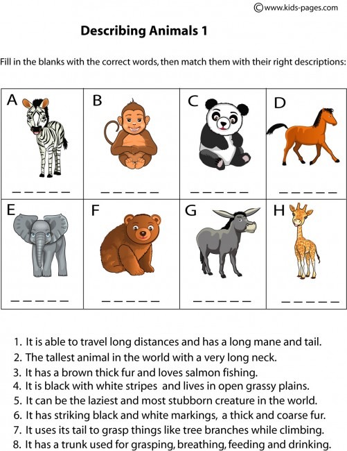 Animals Description 1 Worksheet