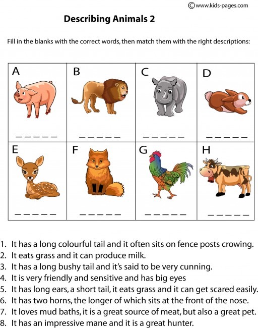 Animals Description 2 Worksheet