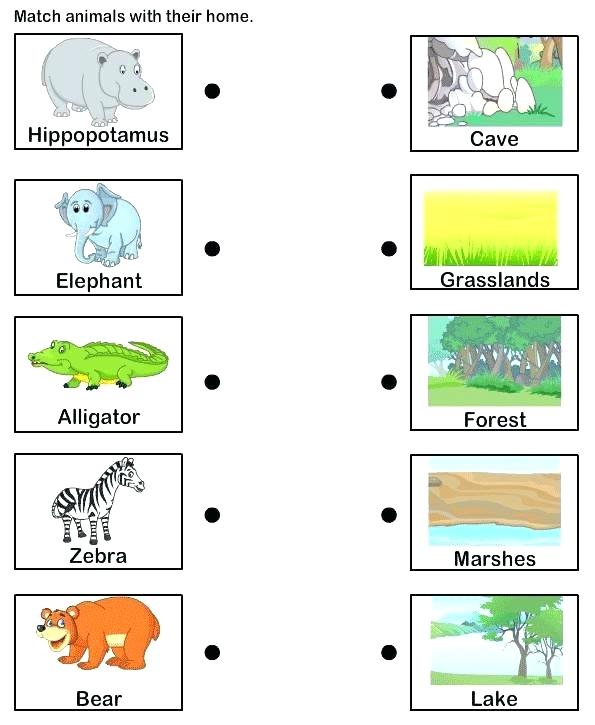 Animals And Their Habitats Worksheets Animal Habitat Matching