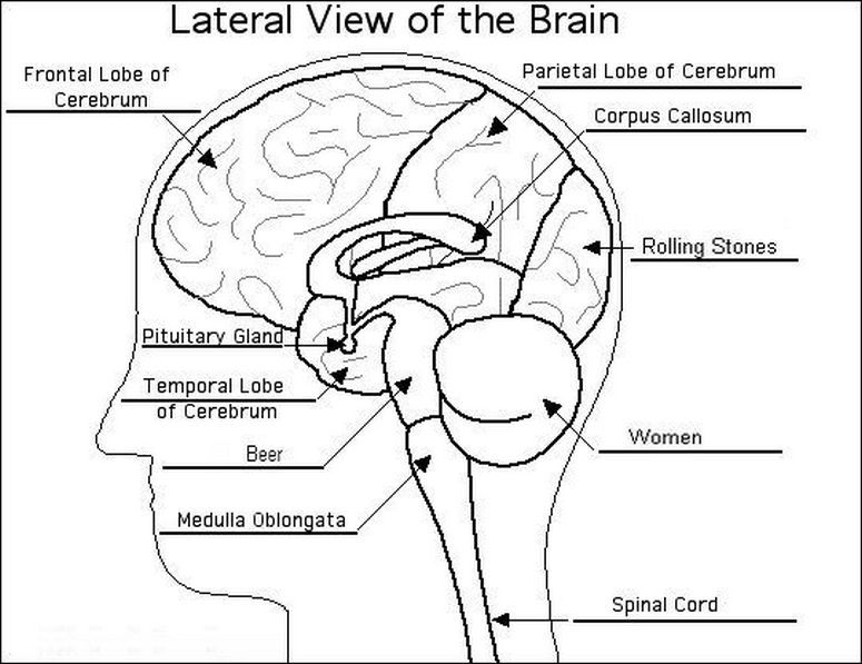 Pin By Dot Jenna On Psychology