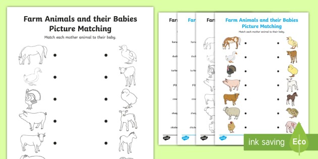 Farm Animals And Their Babies Matching Worksheet   Worksheet