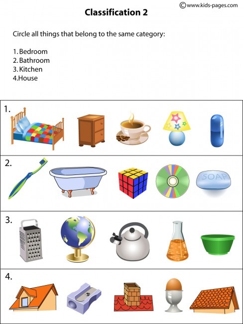 Classification2 Worksheet