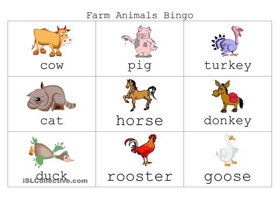 Farm Animal Bingo Worksheet