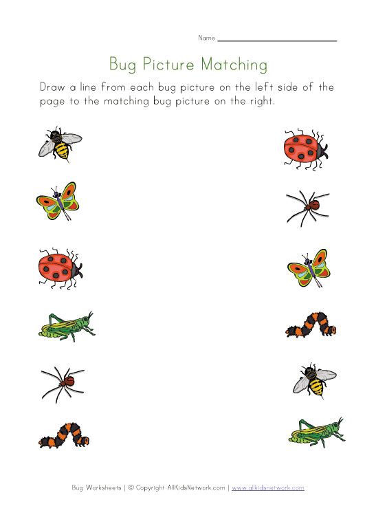 Pin By Melissa Barry On Animals, Bugs