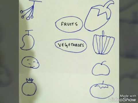 Activity And E V S Worksheets For Class L K G  And U K G