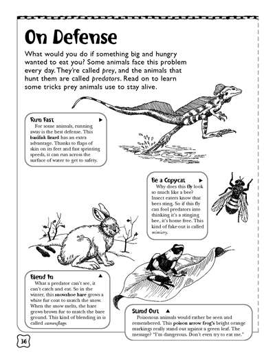 Predators And Prey