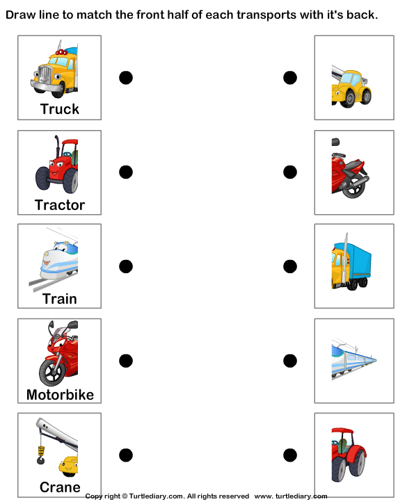 Means Of Land Transport Worksheet