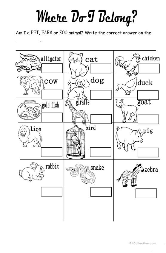 Pet, Farm, Or Zoo Wild Animals Worksheet