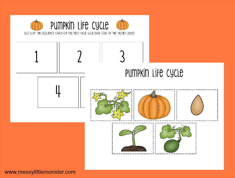 Printable Pumpkin Life Cycle Worksheets