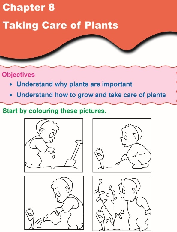Grade 1 Science Lesson 8 Taking Care Of Plants