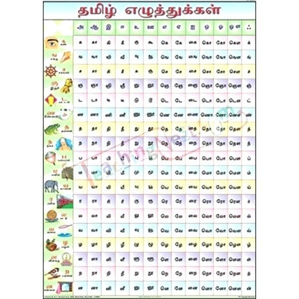 Words Teachers Worksheet In Word Alphabets Writing Worksheets Urdu