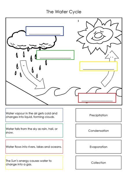 Water Cycle Worksheets For Kids Free