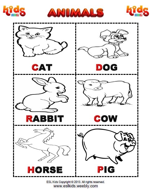 Animals