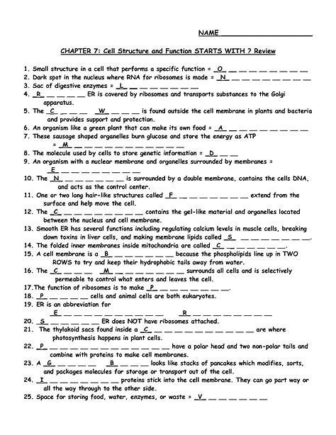 Image Result For Cell Structures And Functions Chart Answers