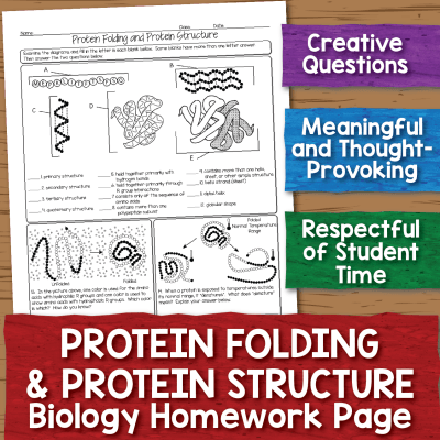 Protein Structure Worksheet